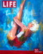 LIFE Dive In - Sold